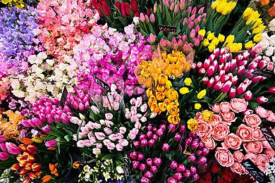 顽皮狗老员工新作开发顺利已经进入动作捕捉阶段